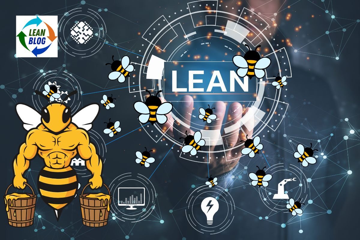 Lean certification versus real-world experience in continuous improvement leadership