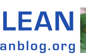 Lean Parody Audio & Video: GEICO Commercial