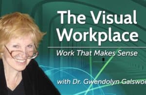 LeanBlog Podcast #26 – Dr. Gwendolyn Galsworth on Visual Workplace and Visual Thinking