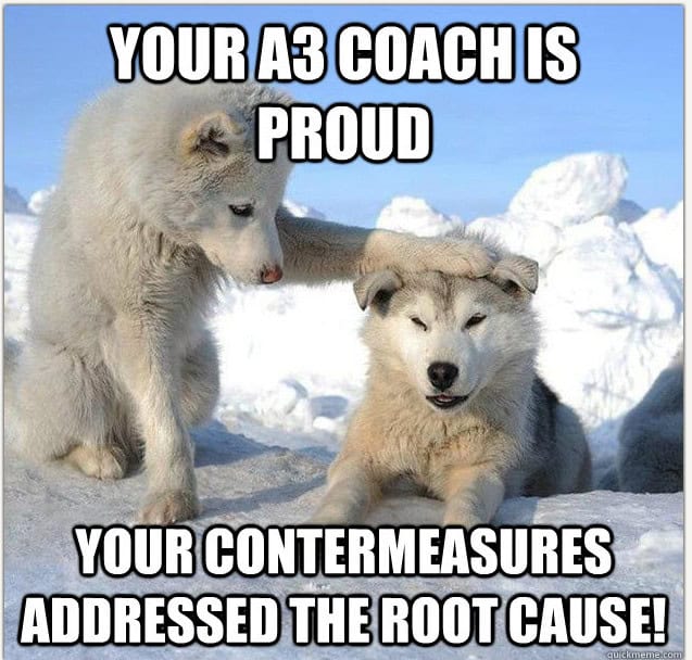 dogs