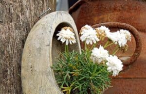 A Week in The Netherlands