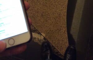 Why don’t we do what we know we’re supposed to do? Why don’t I?