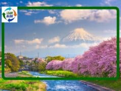 Are Japanese Hospitals More Lean? What Global Healthcare Leaders Can Learn from Visiting Japan