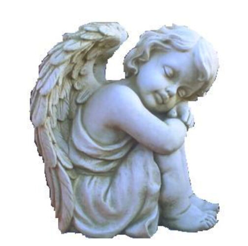 Figure 1.6 Angel