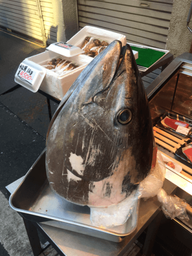 Tsukiji fish market