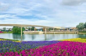 Could Lean Thinking Have Prevented the Recent Disney Tragedy?