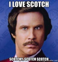 scotch