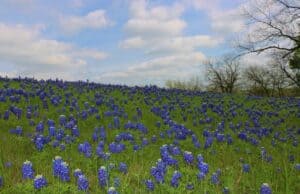 My Article on Changing How We Think About Change