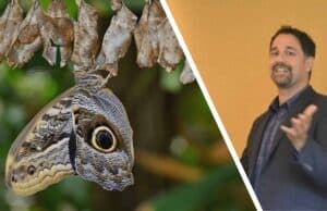 Podcast #306 – Mark D. Valenti, Motivational Interviewing and Health System Improvement