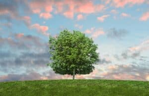 It’s Been 25 Years Since Dr. Deming Passed Away