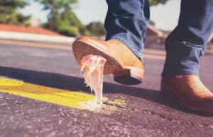 What Chefs and Restauranteurs Say About Learning From Failures & Mistakes