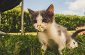 What My Antiperspirant Taught Me About Standardized Work and PDSA