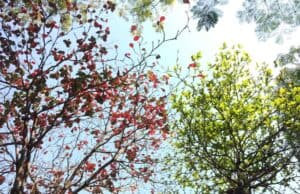 Learning Process Behavior Charts and the More Difficult Challenge of Unlearning Old Lessons or Habits