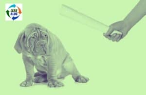 You Can’t Punish Your Way to Perfection: Why Blame Fails and Learning Works