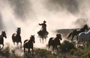 A Roundup of Recent Blog Posts and Podcasts About Mistakes: July 25 Edition