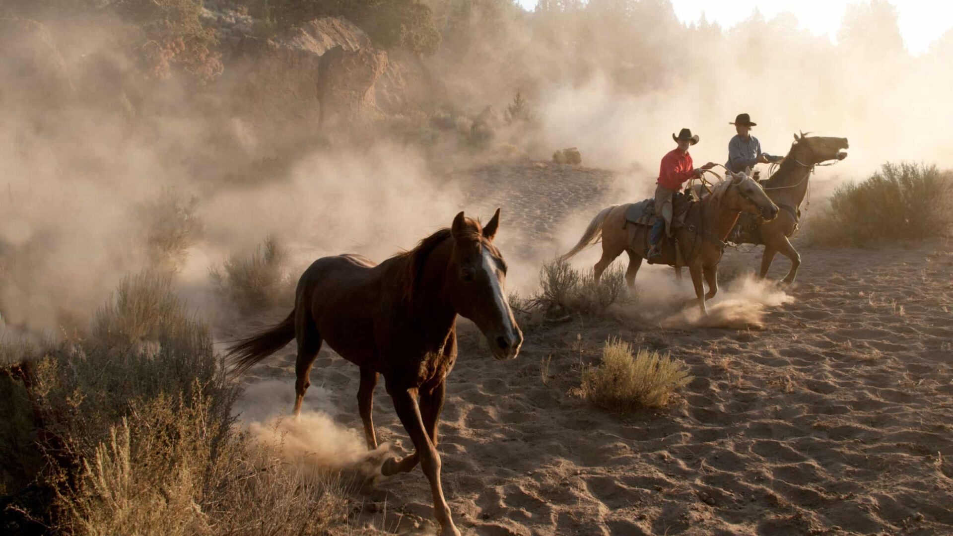 A Roundup of Recent Blog Posts and Podcasts About Mistakes: August 15 Edition