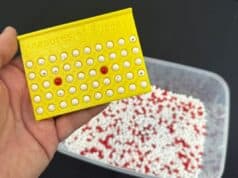 Red Bead Game Reflections: From Atlanta to Australia and Auckland