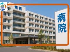 What Visiting Japan Taught Me About Lean Leadership and Healthcare Culture