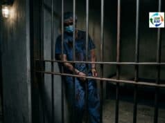 Staff Had Concerns: What a Surgeon’s Manslaughter Charge Tells Us About Speaking Up Lean Blog Post Cover Image - 2026-04-17T070148.509