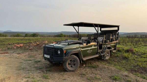 Open-sided green safari vehicle with canvas roof parked on a dirt track in grassy bushveld at dusk